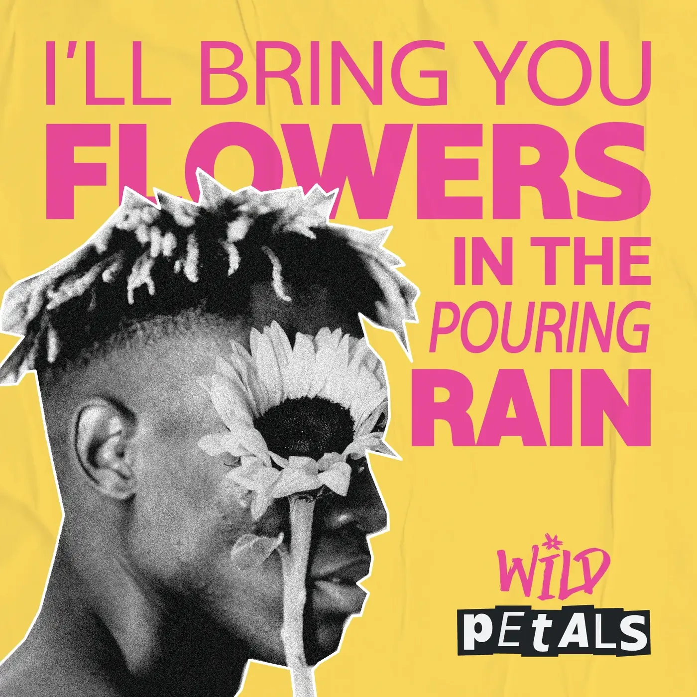 Wild Petals studio image 2